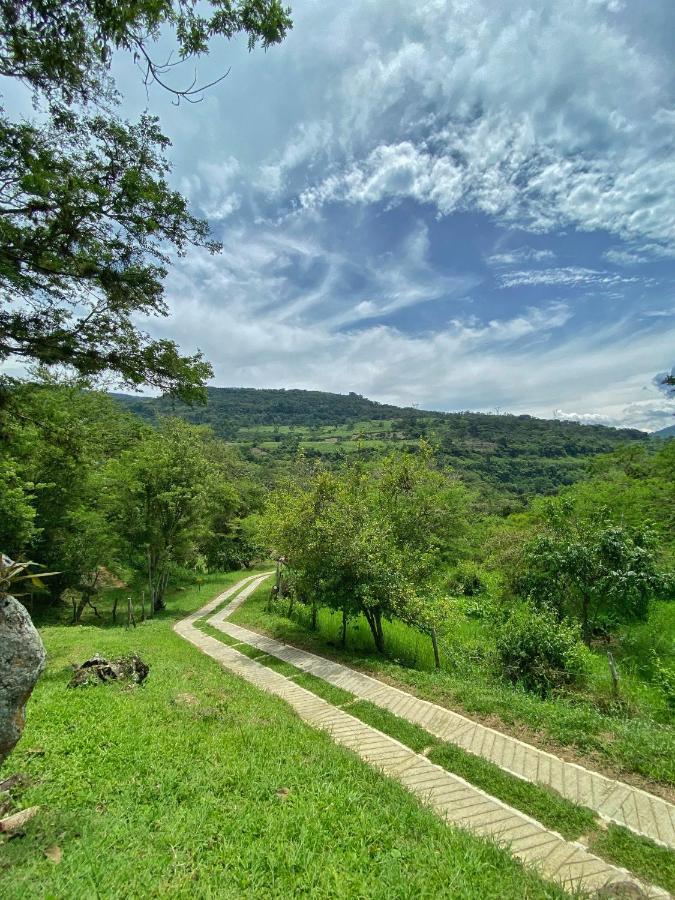 Cielo Abierto Glamping Hotel Valle de San José Eksteriør billede