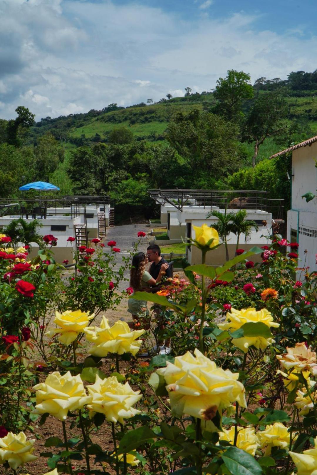 Cielo Abierto Glamping Hotel Valle de San José Eksteriør billede