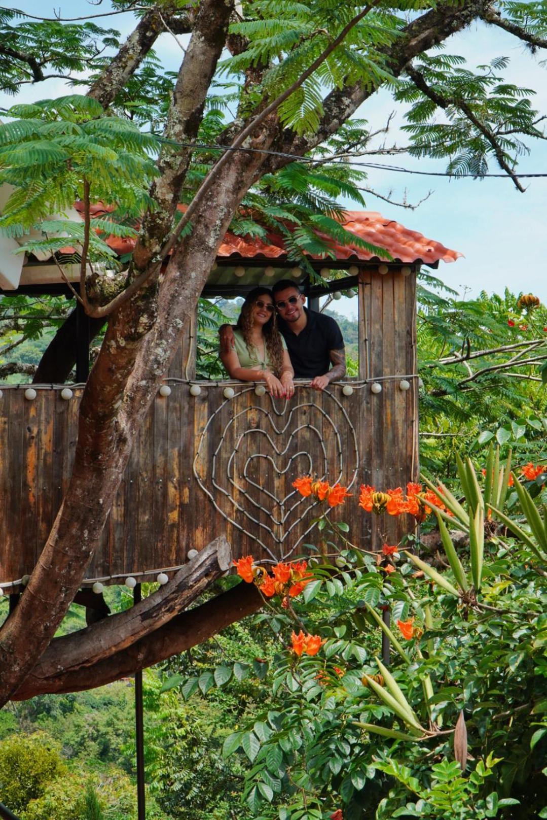 Cielo Abierto Glamping Hotel Valle de San José Eksteriør billede