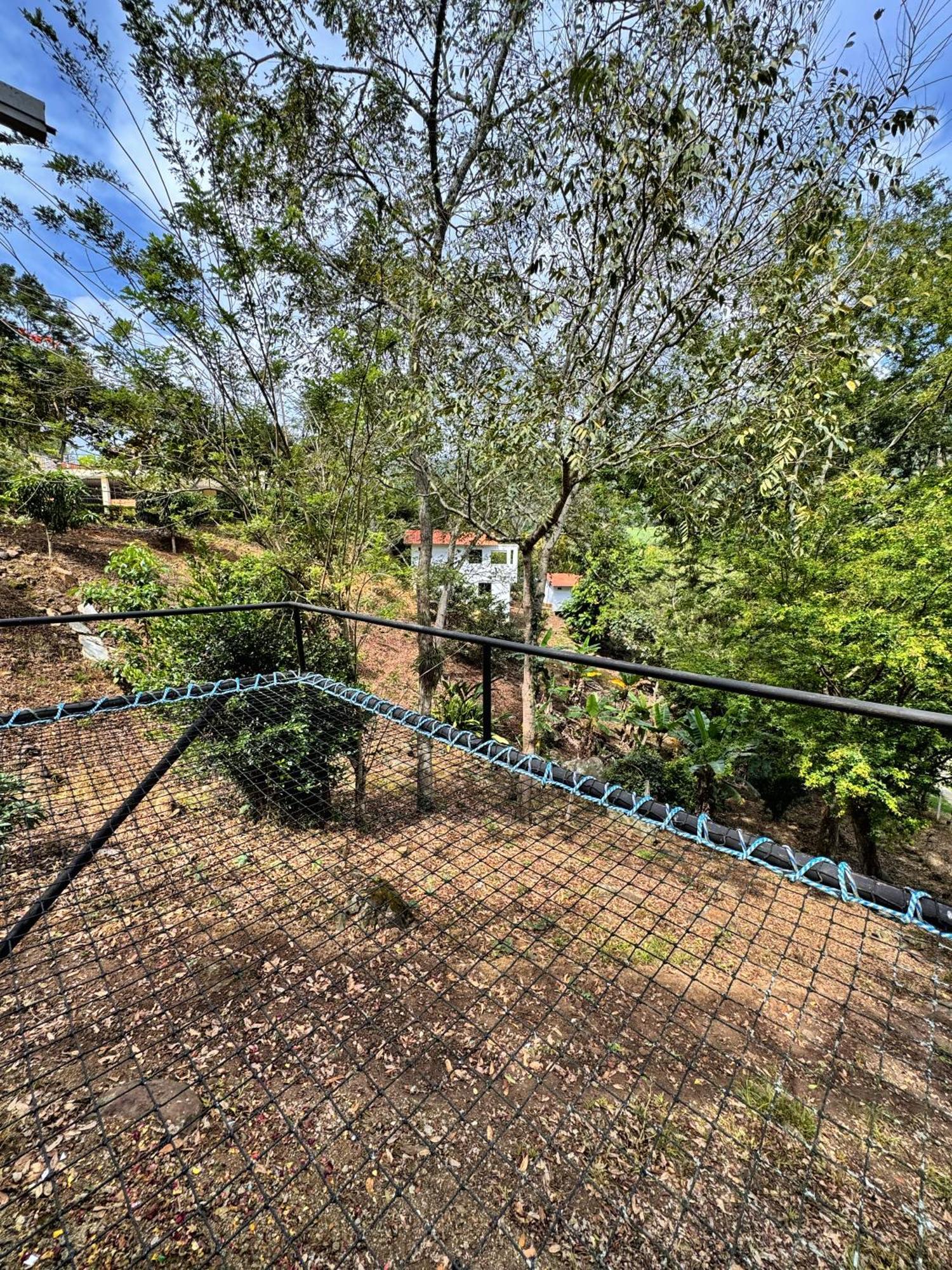 Cielo Abierto Glamping Hotel Valle de San José Eksteriør billede